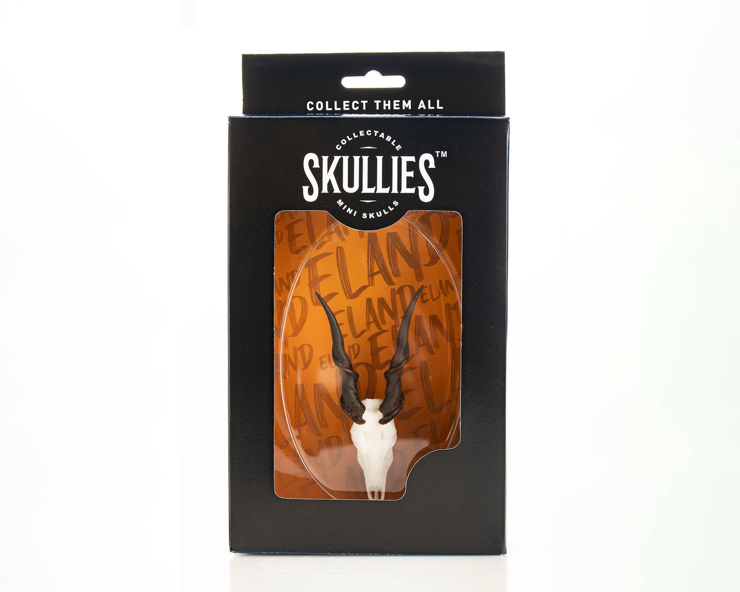 Skullies - Resin - Miniature Replica Eland Skull