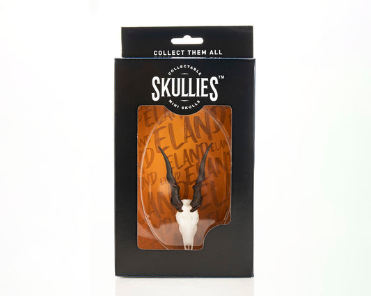 Resin Skullies - Miniature Replica Cape Eland Skull