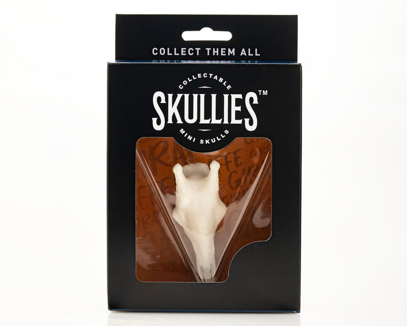 Load image into Gallery viewer, Resin Skullies - Miniature Replica Giraffe Skull
