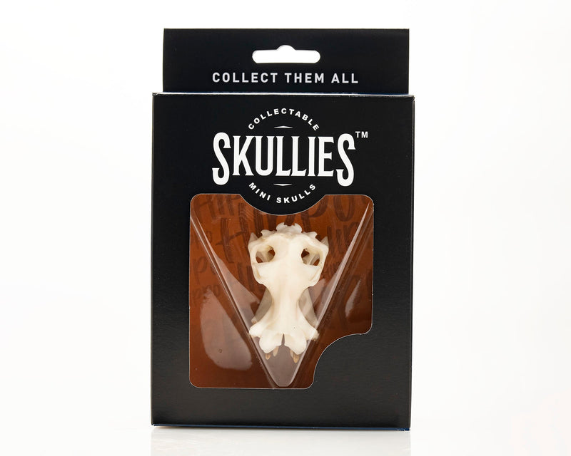 Load image into Gallery viewer, Resin Skullies - Miniature Replica Hippo Skull
