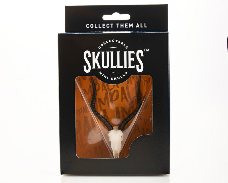 Load image into Gallery viewer, Resin Skullies - Miniature Replica Impala Skull
