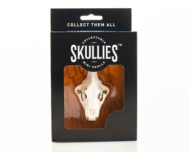 Resin Skullies - Miniature Replica Lion Skull