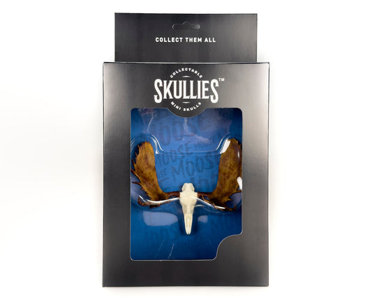 Resin Skullies - Miniature Replica Moose Skull