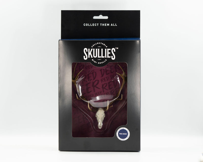 Load image into Gallery viewer, Resin Skullies - Miniature Replica Red Deer Skull
