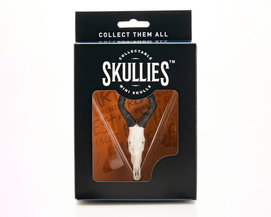 Resin Skullies - Miniature Replica Red Hartebeest Skull