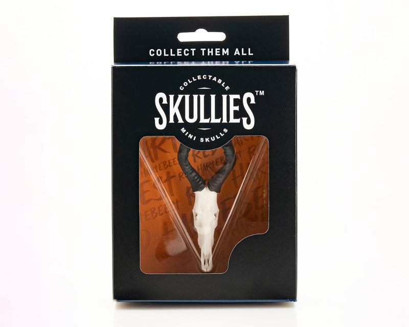 Load image into Gallery viewer, Resin Skullies - Miniature Replica Red Hartebeest Skull
