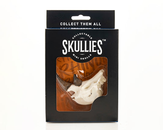 Skullies - Resin - Miniature Replica Rhino Skull