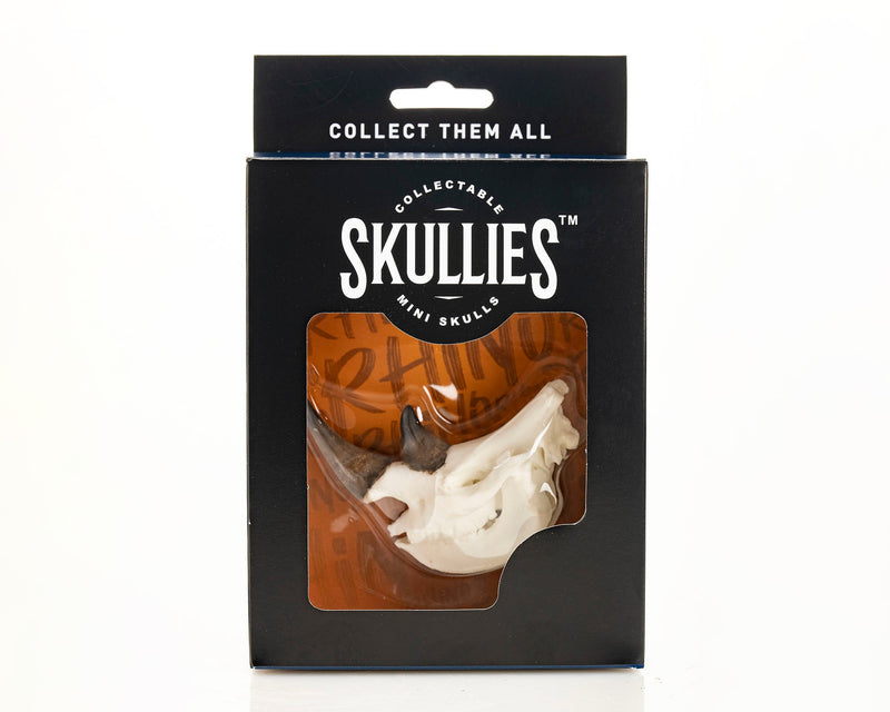 Load image into Gallery viewer, Resin Skullies - Miniature Replica Rhino Skull
