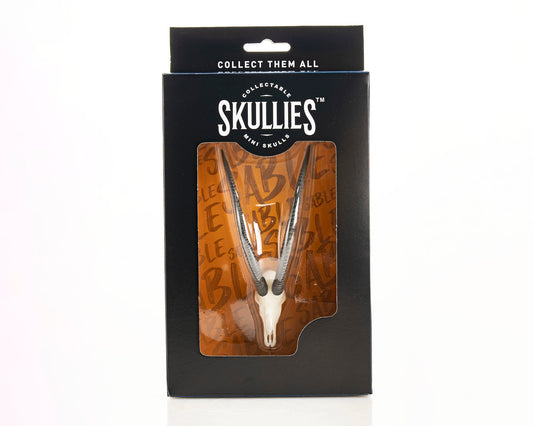 Resin Skullies - Miniature Replica Sable Skull
