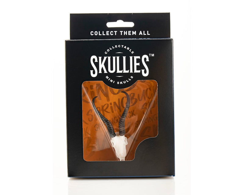 Load image into Gallery viewer, Resin Skullies - Miniature Replica Springbuck Skull
