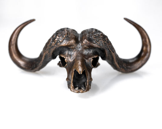 Bronze Skullies - Miniature Replica Cape Buffalo Skull - Skullies