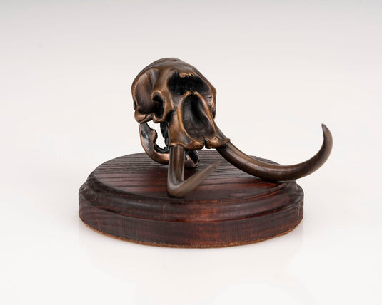 Bronze Skullies - Miniature Replica Elephant Skull - Skullies