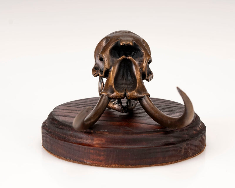 Load image into Gallery viewer, Bronze Skullies - Miniature Replica Elephant Skull - Skullies
