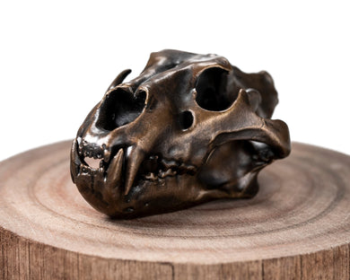 Bronze Skullies - Miniature Replica Lion Skull - Skullies
