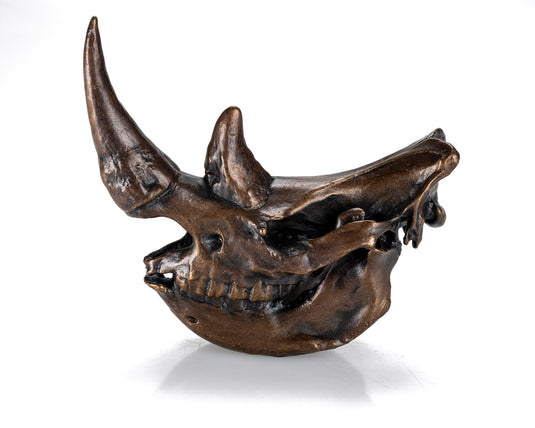 Bronze Skullies - Miniature Replica Rhino Skull - Skullies