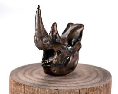 Bronze Skullies - Miniature Replica Rhino Skull - Skullies