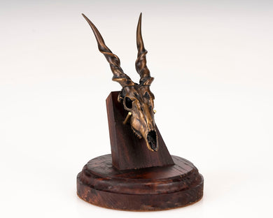 Bronze Skullies - Replica Minature Eland Skull - Skullies