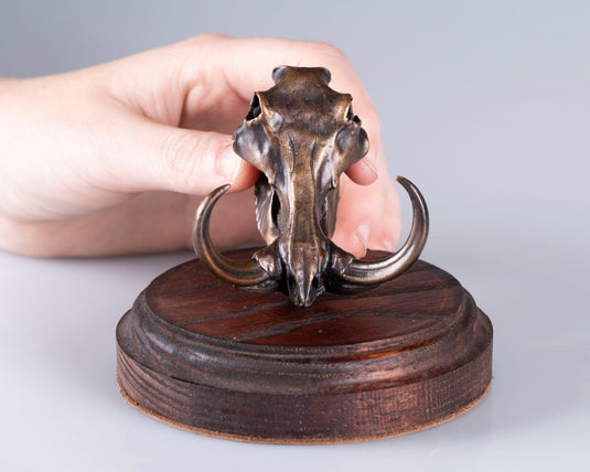 Bronze Skullies - Replica Minature Warthog Skull - Skullies