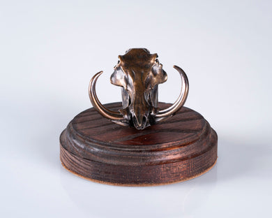 Bronze Skullies - Replica Minature Warthog Skull - Skullies