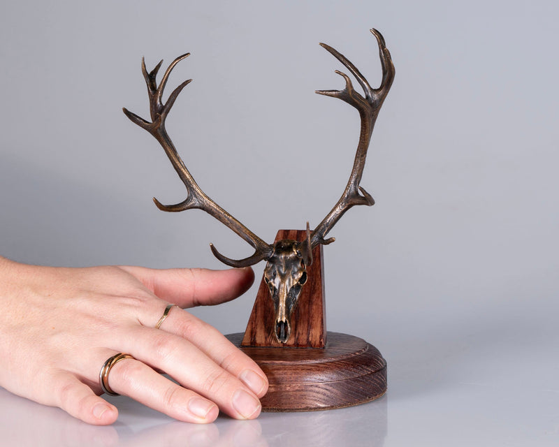 Load image into Gallery viewer, Bronze Skullies - Replica Miniature Red Deer Skull - Skullies
