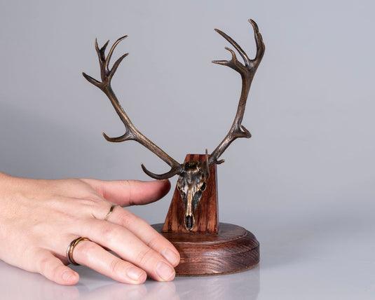 Bronze Skullies - Replica Miniature Red Deer Skull - Skullies