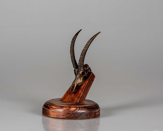 Bronze Skullies - Replica Miniature Roan Skull - Skullies
