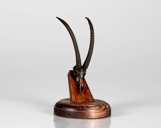 Bronze Skullies - Replica Miniature Roan Skull - Skullies