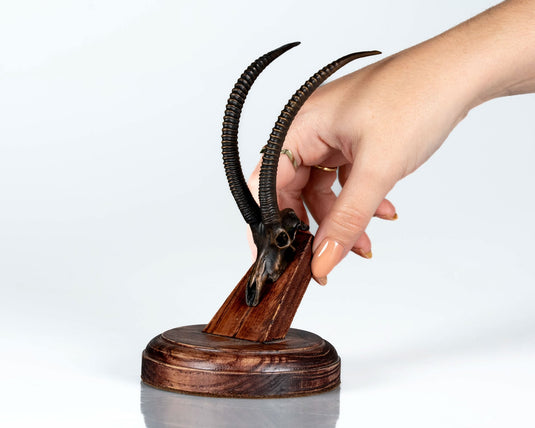 Bronze Skullies - Replica Miniature Sable Skull - Skullies