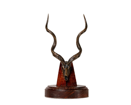 Bronze Skullies - Replica Miniature Southern Greater Bronze Kudu Skull - Skullies