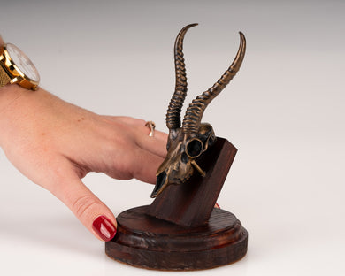 Bronze Skullies - Replica Miniature Springbuck Skull - Skullies
