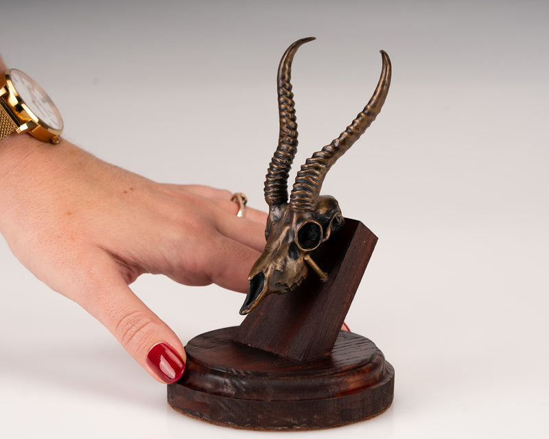 Load image into Gallery viewer, Bronze Skullies - Replica Miniature Springbuck Skull - Skullies
