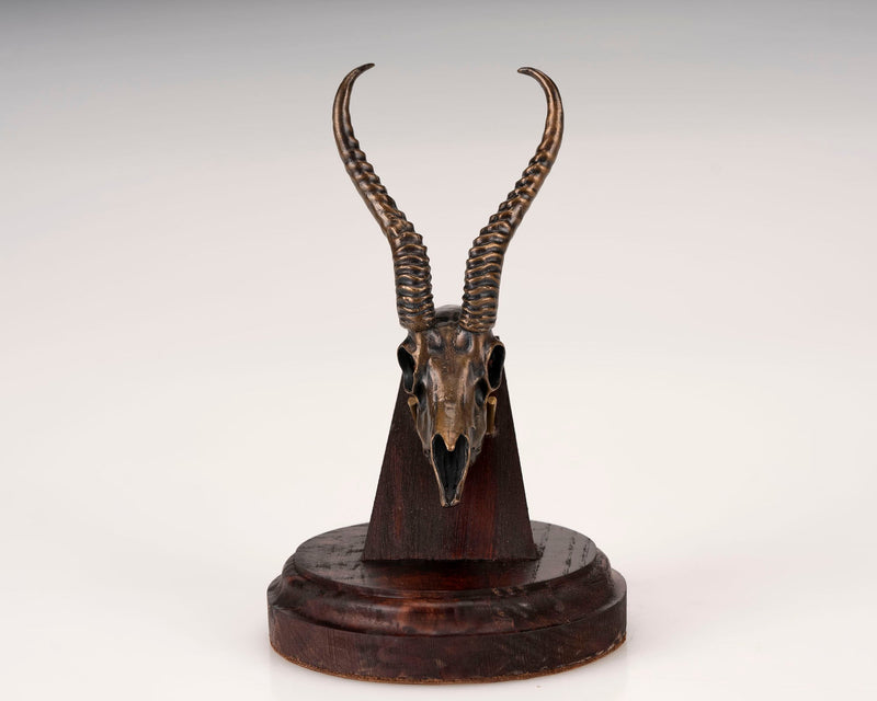 Load image into Gallery viewer, Bronze Skullies - Replica Miniature Springbuck Skull - Skullies
