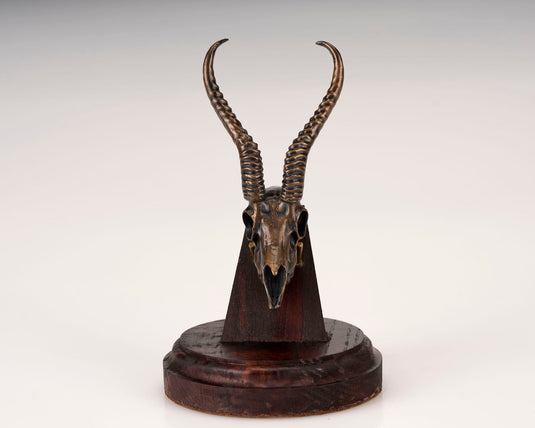 Bronze Skullies - Replica Miniature Springbuck Skull - Skullies