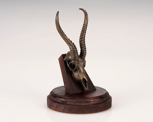 Bronze Skullies - Replica Miniature Bronze Springbuck Skull - Skullies