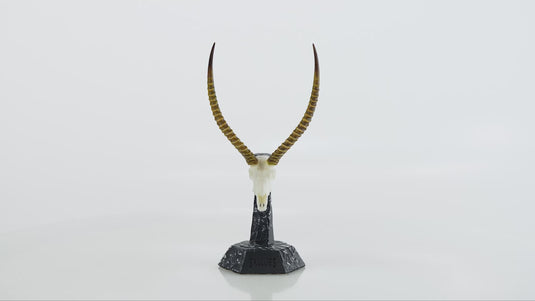 Resin Skullies - Miniature Replica Waterbuck Skull