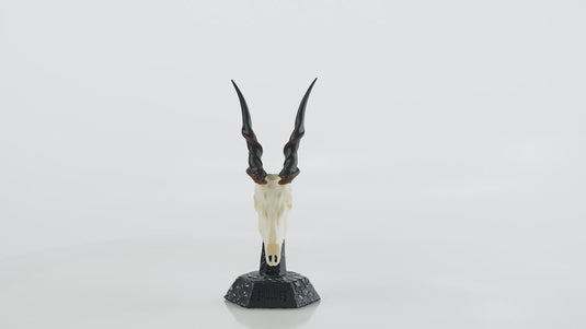 Resin Skullies - Miniature Replica Cape Eland Skull