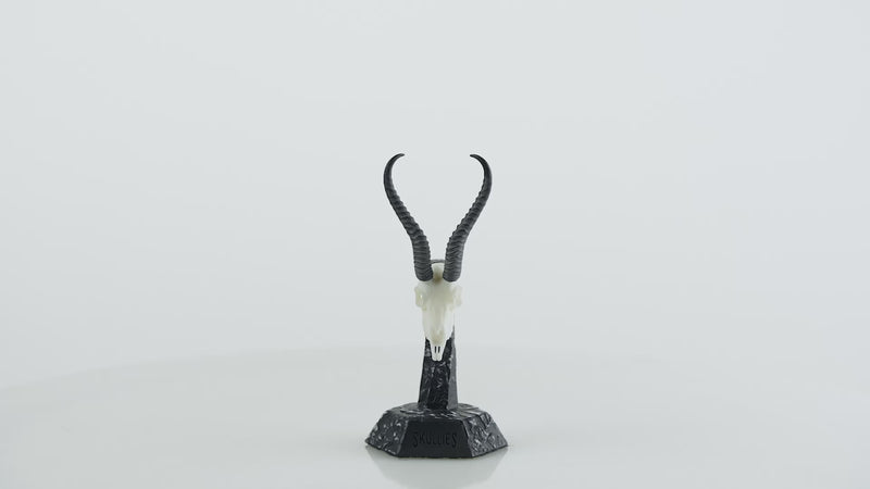 Load and play video in Gallery viewer, Resin Skullies - Miniature Replica Springbuck Skull
