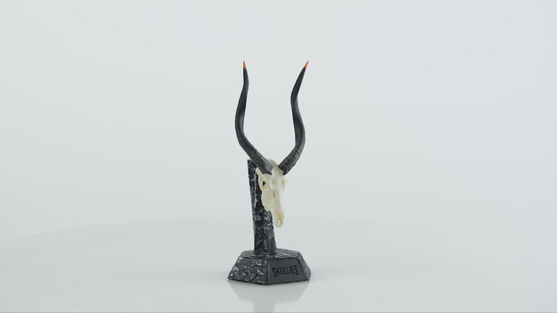 Load and play video in Gallery viewer, Resin Skullies - Miniature Replica Nyala Skull
