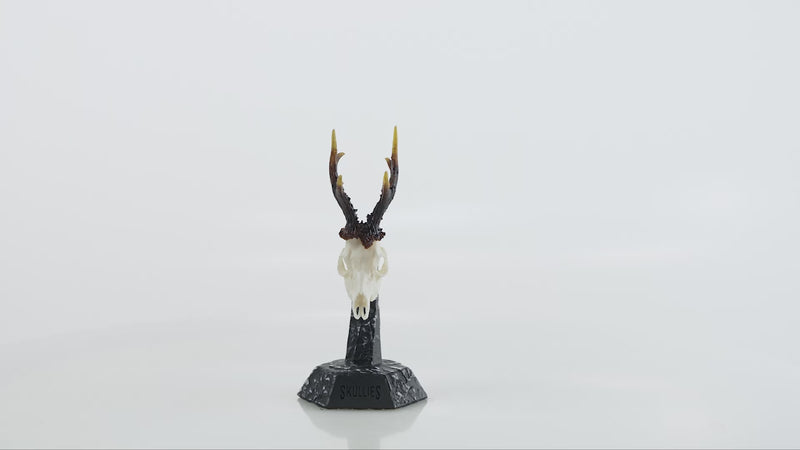 Load and play video in Gallery viewer, Resin Skullies - Miniature Replica Roe Deer Skull
