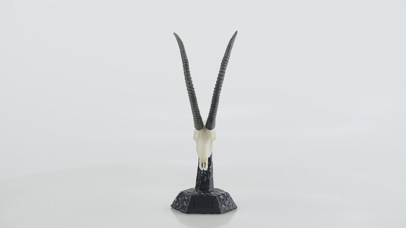 Load and play video in Gallery viewer, Resin Skullies - 1st Edition Resin Skullies - Full Set
