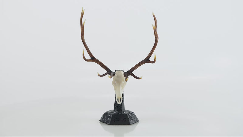 Load and play video in Gallery viewer, Resin Skullies - Miniature Replica Elk Skull
