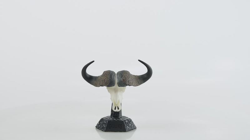 Load and play video in Gallery viewer, Resin Skullies - Miniature Replica Cape Buffalo Skull
