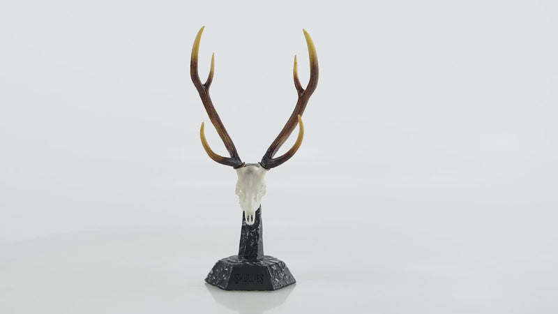 Load and play video in Gallery viewer, Resin Skullies - Miniature Replica Axis Deer Skull
