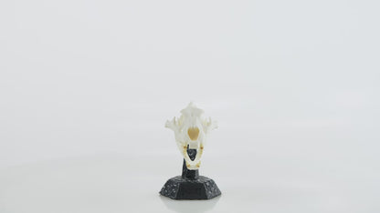 Lion Skullie, 360° turntable video