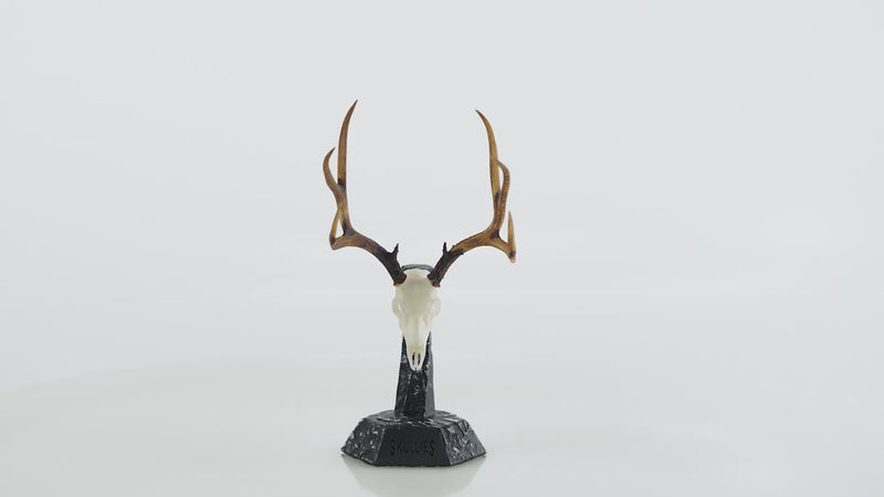 Load and play video in Gallery viewer, Resin Skullies - Miniature Replica Mule Deer Skull
