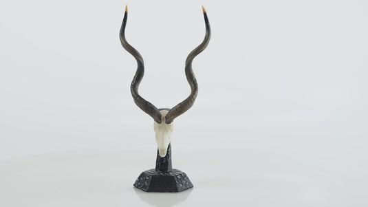 Resin Skullies - Miniature Replica Southern Greater Kudu Skull