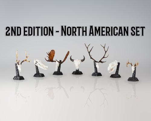 Resin Skullies - 2nd Edition North American Species Set - Skullies