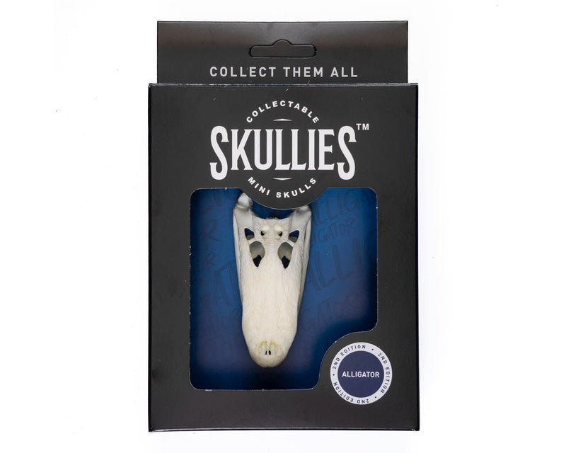 Load image into Gallery viewer, Resin Skullies - Miniature Replica Alligator Skull - Skullies
