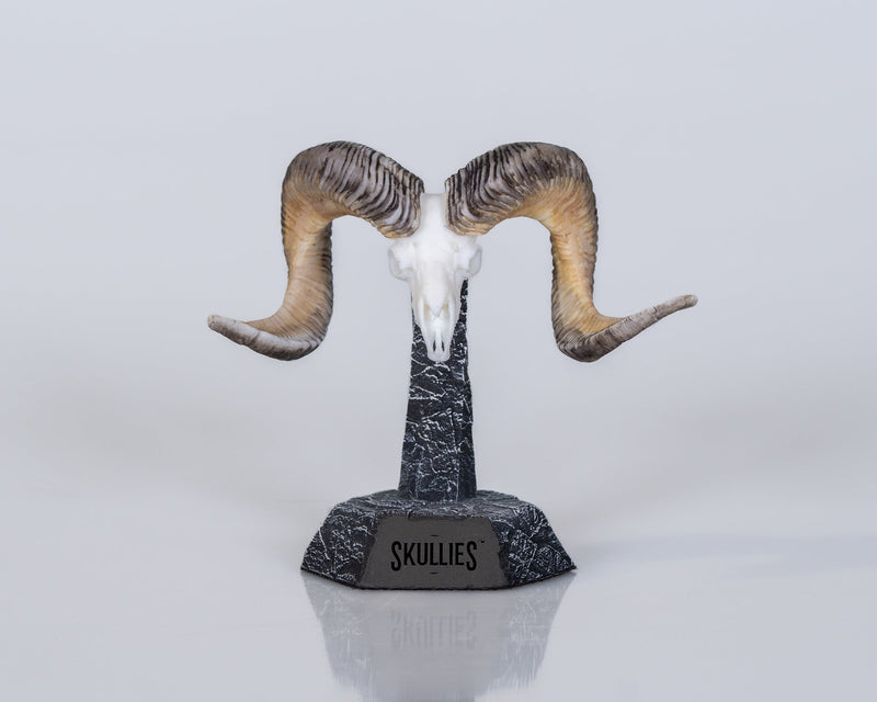 Load image into Gallery viewer, Resin Skullies - Miniature Replica Altai Argali Skull - Skullies
