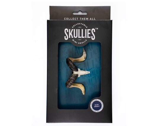 Resin Skullies - Miniature Replica Altai Argali Skull - Skullies